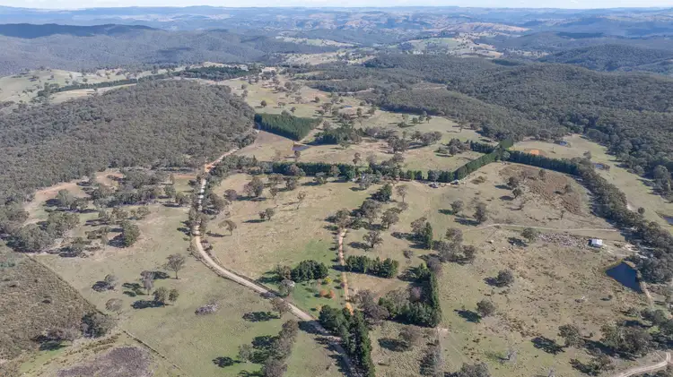 Fourth view of Homely rural property listing, 692 Bald Ridge Road, Bald Ridge NSW 2795