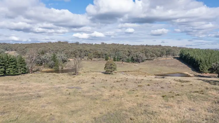 Fifth view of Homely rural property listing, 692 Bald Ridge Road, Bald Ridge NSW 2795