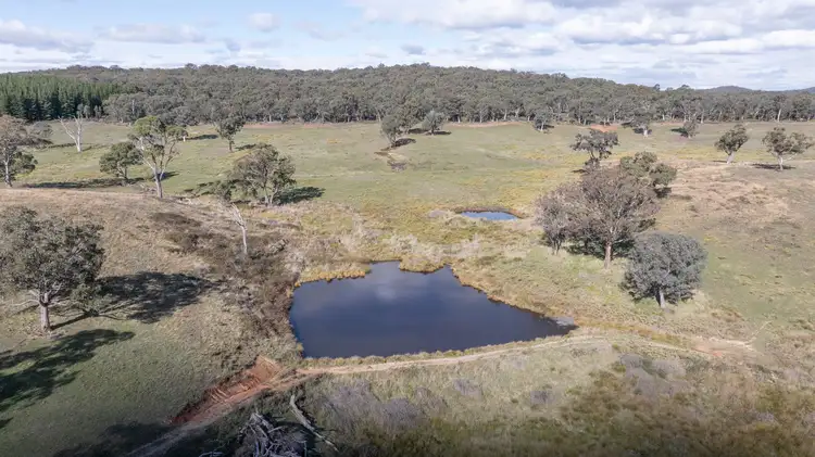 Sixth view of Homely rural property listing, 692 Bald Ridge Road, Bald Ridge NSW 2795