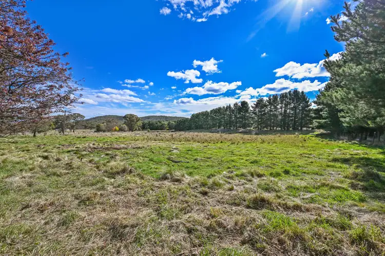 Seventh view of Homely rural property listing, 692 Bald Ridge Road, Bald Ridge NSW 2795