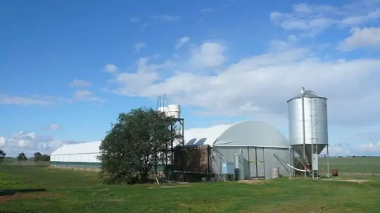 Main view of Homely rural property listing, 60 Lalbert Road, Culgoa VIC 3530