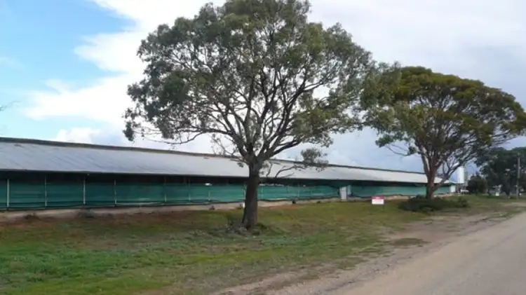 Third view of Homely rural property listing, 60 Lalbert Road, Culgoa VIC 3530