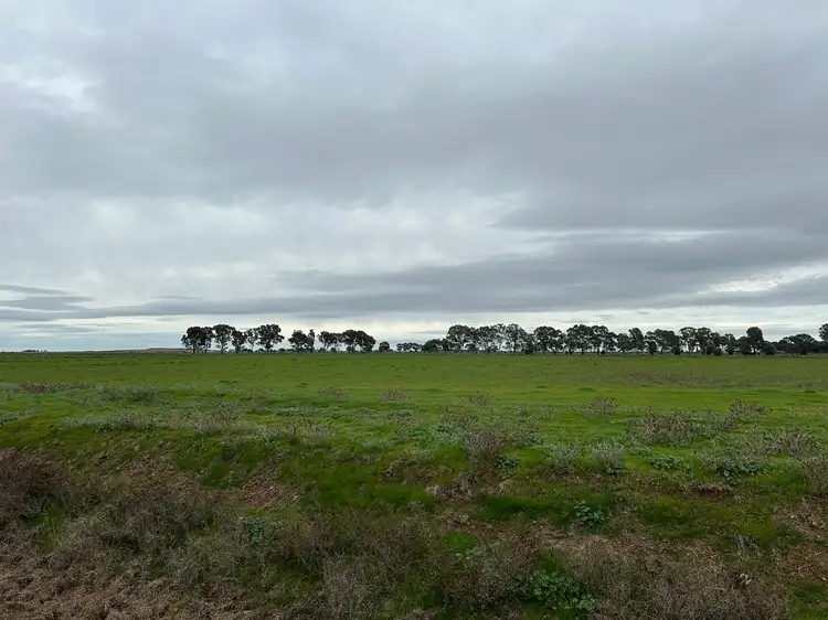 Main view of Homely rural property listing, 3122 Murray Valley Highway, Torrumbarry VIC 3562
