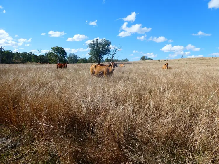 Sixth view of Homely rural property listing, NRN BEERON ROAD, Beeron QLD 4626