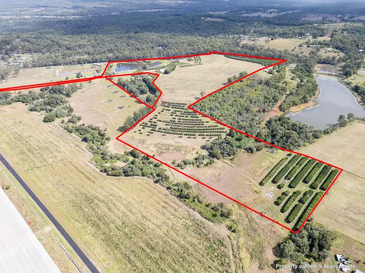 Main view of Homely rural property listing, Lot 1 Butchers Road, South Isis QLD 4660