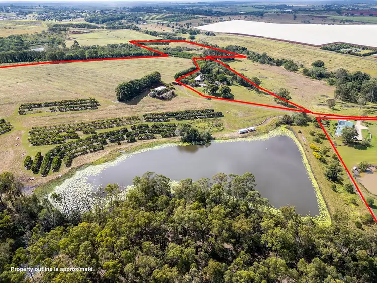 Second view of Homely rural property listing, Lot 1 Butchers Road, South Isis QLD 4660