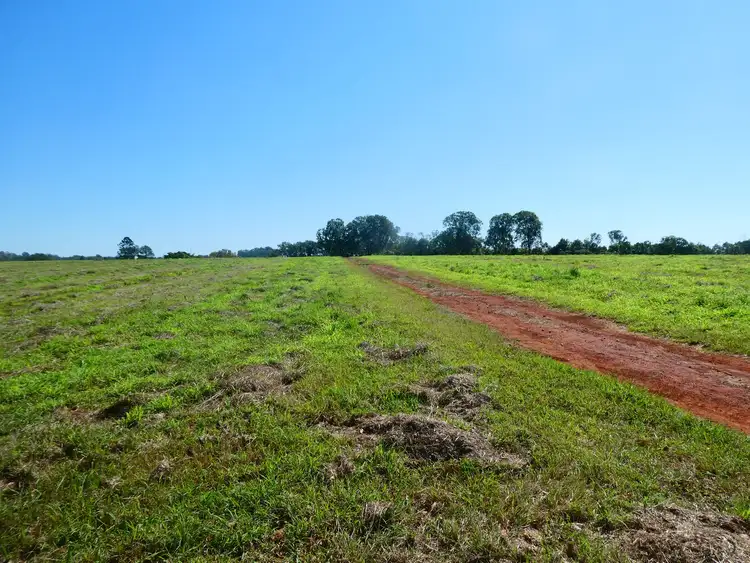 Fourth view of Homely rural property listing, Lot 1 Butchers Road, South Isis QLD 4660