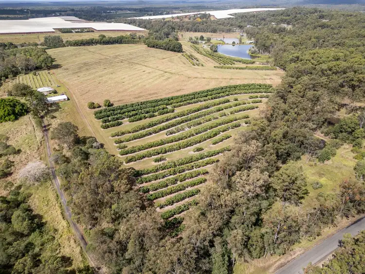 Fifth view of Homely rural property listing, Lot 1 Butchers Road, South Isis QLD 4660