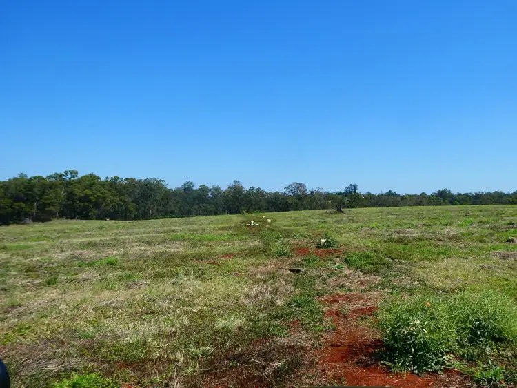 Sixth view of Homely rural property listing, Lot 1 Butchers Road, South Isis QLD 4660