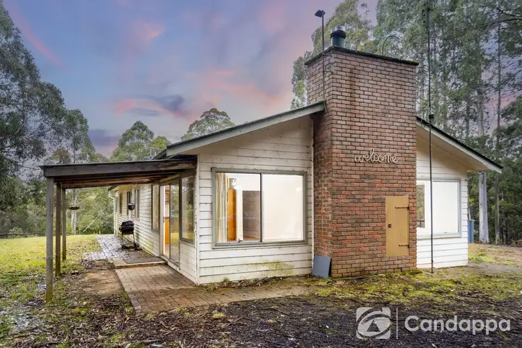 Main view of Homely house listing, 1980 Mt Baw Baw Tourist Road, Tanjil Bren VIC 3833