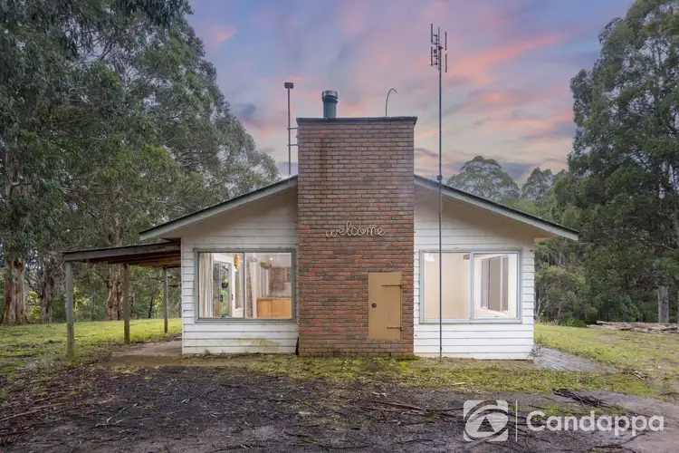 Second view of Homely house listing, 1980 Mt Baw Baw Tourist Road, Tanjil Bren VIC 3833
