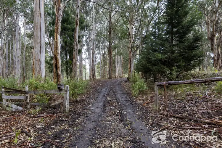 Fifth view of Homely house listing, 1980 Mt Baw Baw Tourist Road, Tanjil Bren VIC 3833
