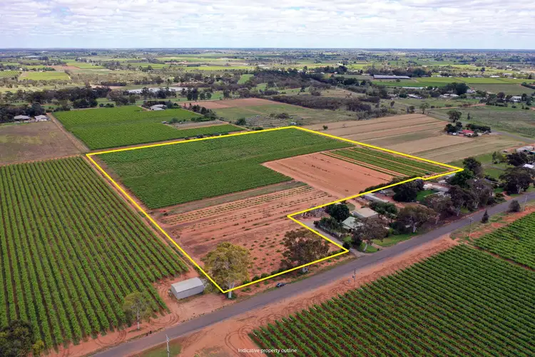 Main view of Homely rural property listing, Lot 2/70 Belar Avenue Extension, Irymple VIC 3498