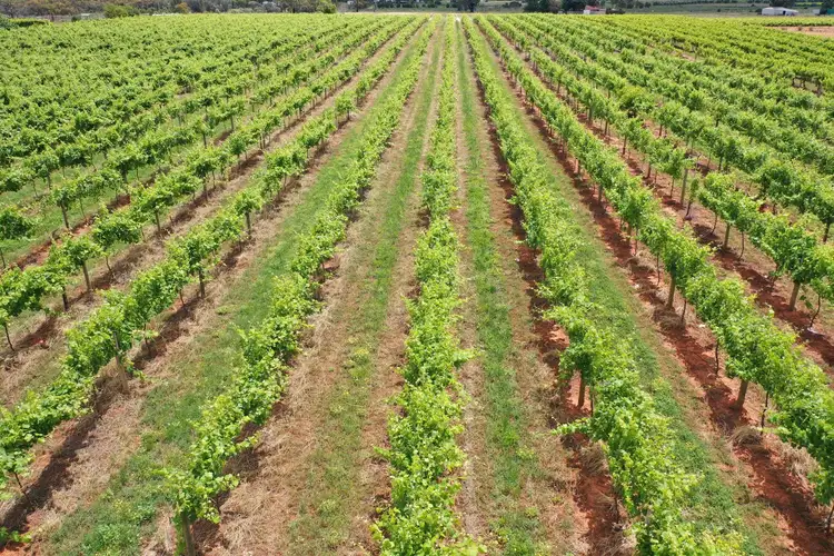 Third view of Homely rural property listing, Lot 2/70 Belar Avenue Extension, Irymple VIC 3498