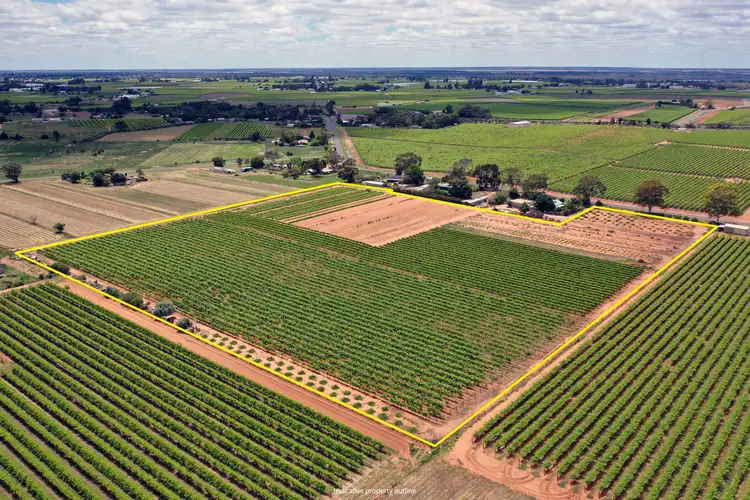 Fifth view of Homely rural property listing, Lot 2/70 Belar Avenue Extension, Irymple VIC 3498