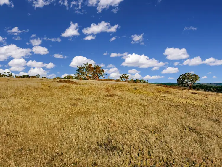 Main view of Homely rural property listing, 1325 Swallows Nest Road, Dog Rocks NSW 2795
