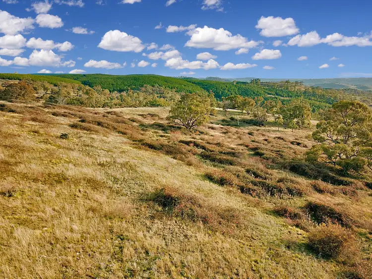 Fourth view of Homely rural property listing, 1325 Swallows Nest Road, Dog Rocks NSW 2795