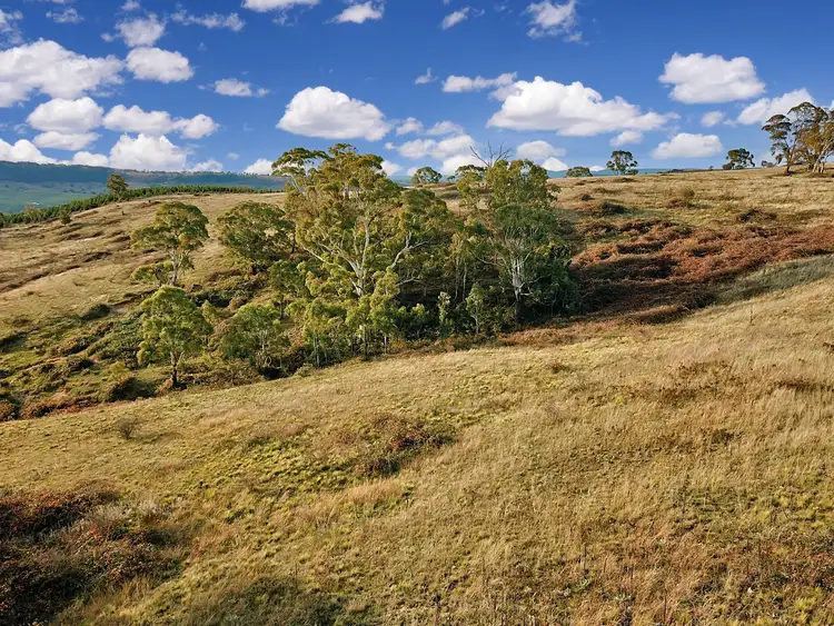 Seventh view of Homely rural property listing, 1325 Swallows Nest Road, Dog Rocks NSW 2795