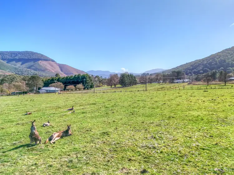 Fifth view of Homely land listing, Lot 3 Mitchells Lane, Wandiligong VIC 3744
