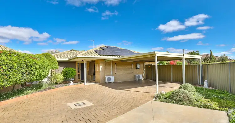 13 Plant Court