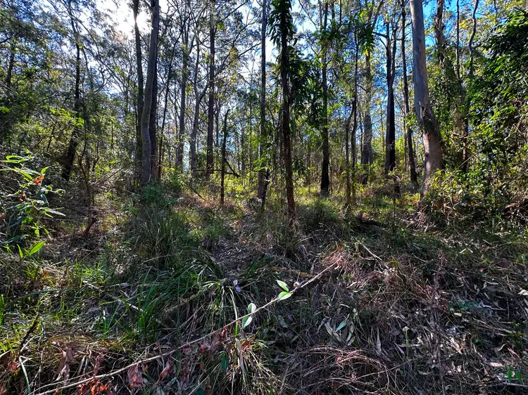 Sixth view of Homely land listing, Lot 1536 Baradine Crescent, North Arm Cove NSW 2324