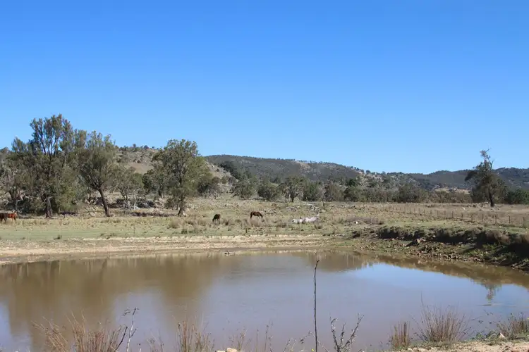 Main view of Homely rural property listing, 203 Woodside Road, Tenterfield NSW 2372