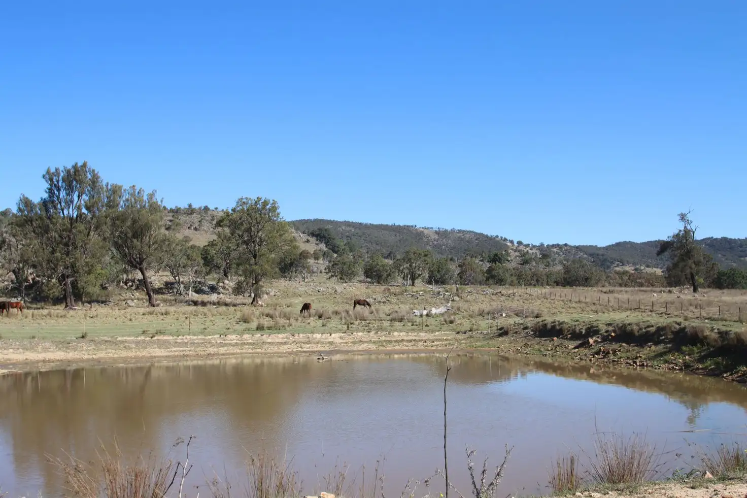 Main view of Homely rural property listing, 203 Woodside Road, Tenterfield NSW 2372