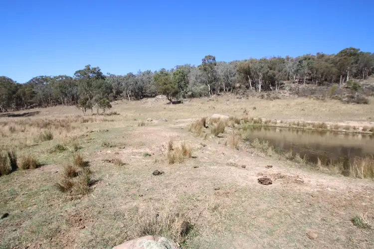 Fourth view of Homely rural property listing, 203 Woodside Road, Tenterfield NSW 2372