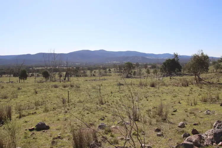 Sixth view of Homely rural property listing, 203 Woodside Road, Tenterfield NSW 2372