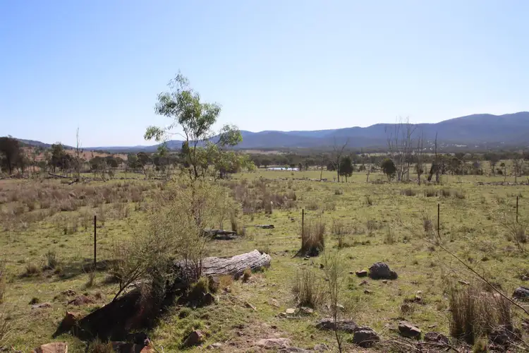 Seventh view of Homely rural property listing, 203 Woodside Road, Tenterfield NSW 2372