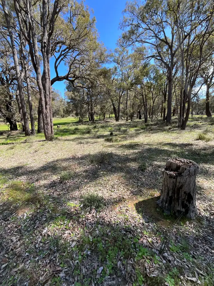 Sixth view of Homely land listing, 86 Fairway Place, Boddington WA 6390