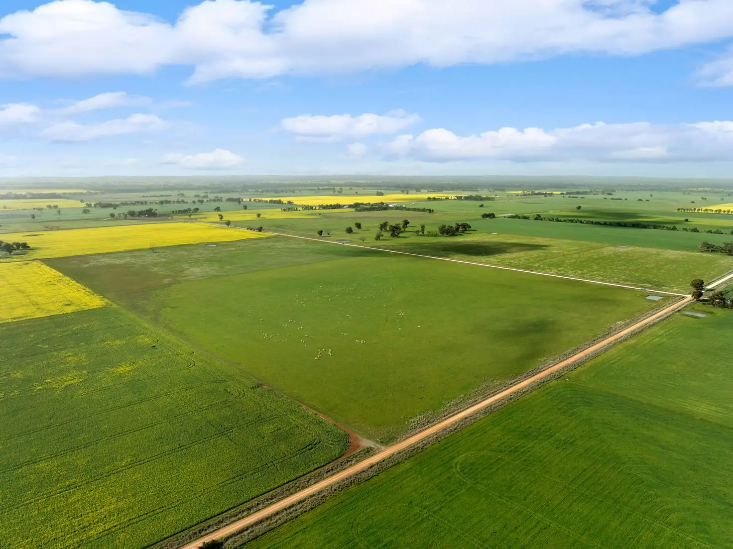 Main view of Homely rural property listing, Cnr Brown & Burramboot East School Roads, Colbinabbin VIC 3559