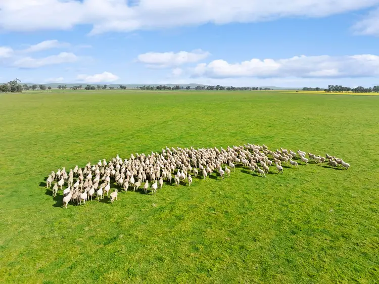 Fifth view of Homely rural property listing, Cnr Brown & Burramboot East School Roads, Colbinabbin VIC 3559