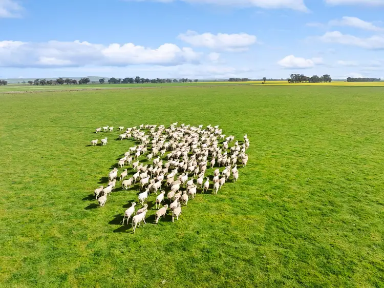 Sixth view of Homely rural property listing, Cnr Brown & Burramboot East School Roads, Colbinabbin VIC 3559