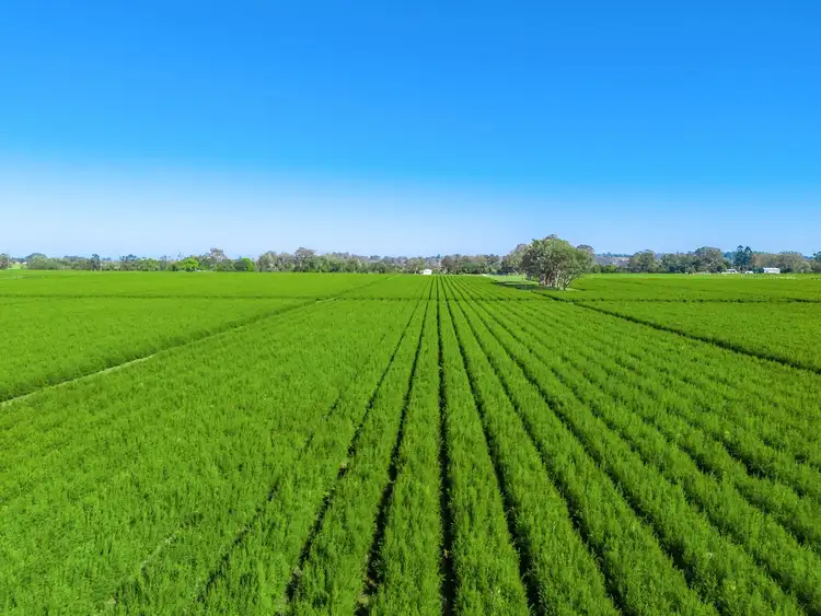 Third view of Homely rural property listing, 177B Munro Wharf Road, Tucki Tucki NSW 2480