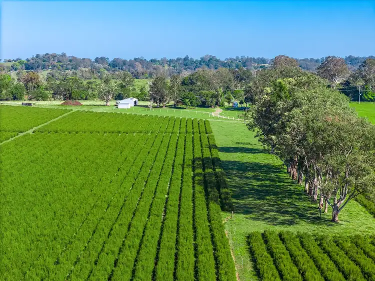 Fourth view of Homely rural property listing, 177B Munro Wharf Road, Tucki Tucki NSW 2480