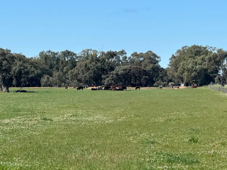 Main view of Homely rural property listing, 00 Cullen Park Road, Cohuna VIC 3568