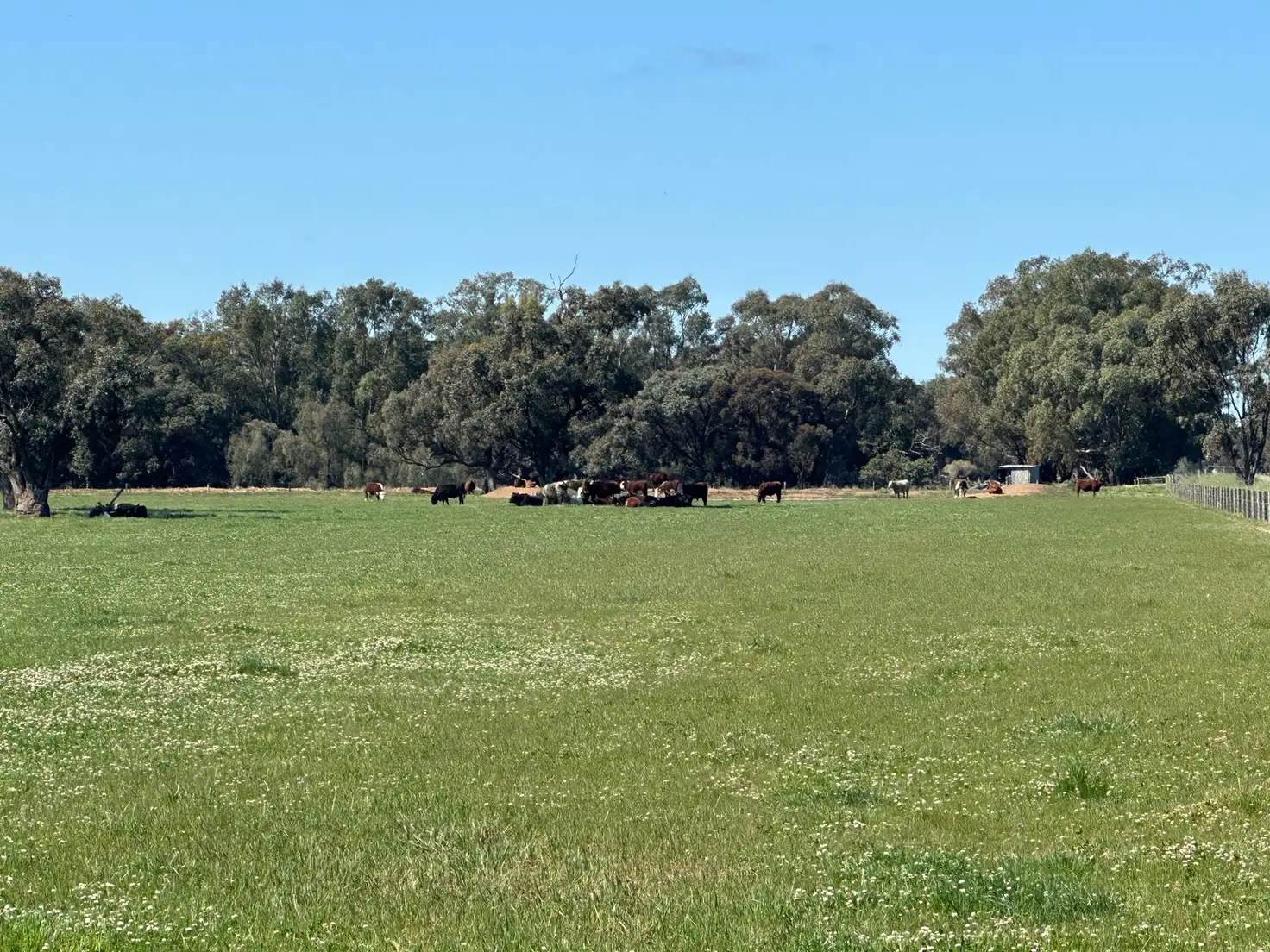 Main view of Homely rural property listing, 00 Cullen Park Road, Cohuna VIC 3568