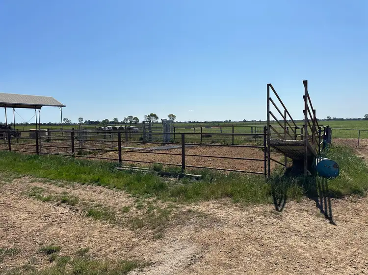 Second view of Homely rural property listing, 00 Cullen Park Road, Cohuna VIC 3568