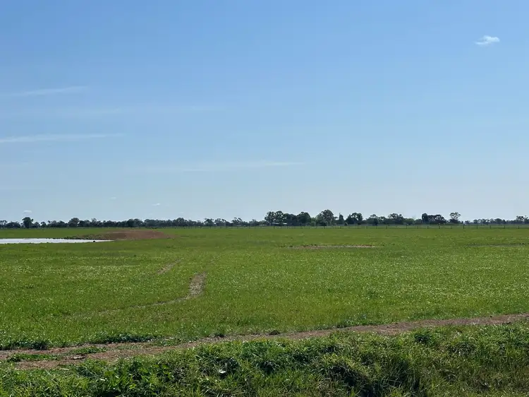 Fourth view of Homely rural property listing, 00 Cullen Park Road, Cohuna VIC 3568