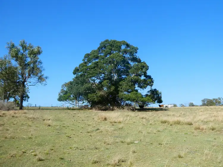 Seventh view of Homely rural property listing, L87 Rifle Range Road, Teebar QLD 4620