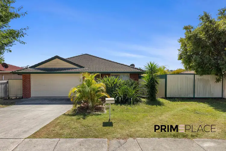 14 Whipbird Street, Bellbird Park QLD 4300