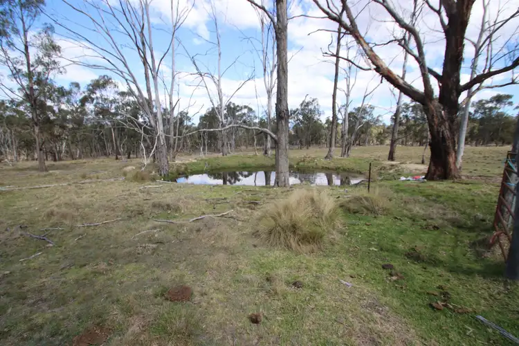 Second view of Homely rural property listing, 7042 New England Highway, Tenterfield NSW 2372