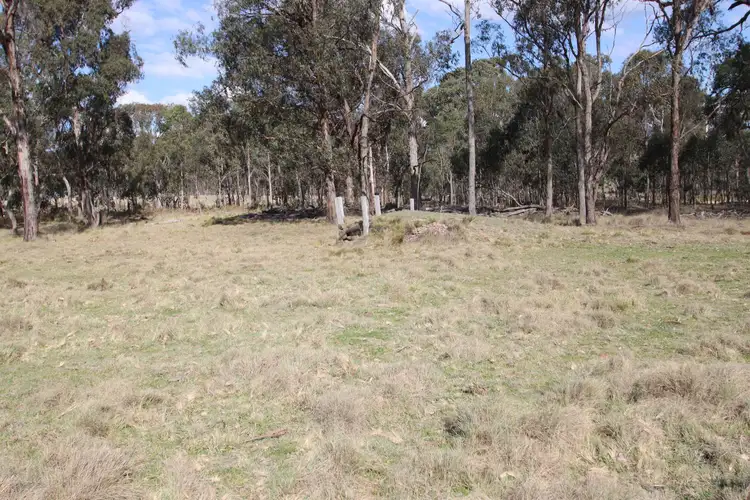 Sixth view of Homely rural property listing, 7042 New England Highway, Tenterfield NSW 2372