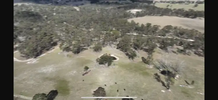 Seventh view of Homely rural property listing, 7042 New England Highway, Tenterfield NSW 2372