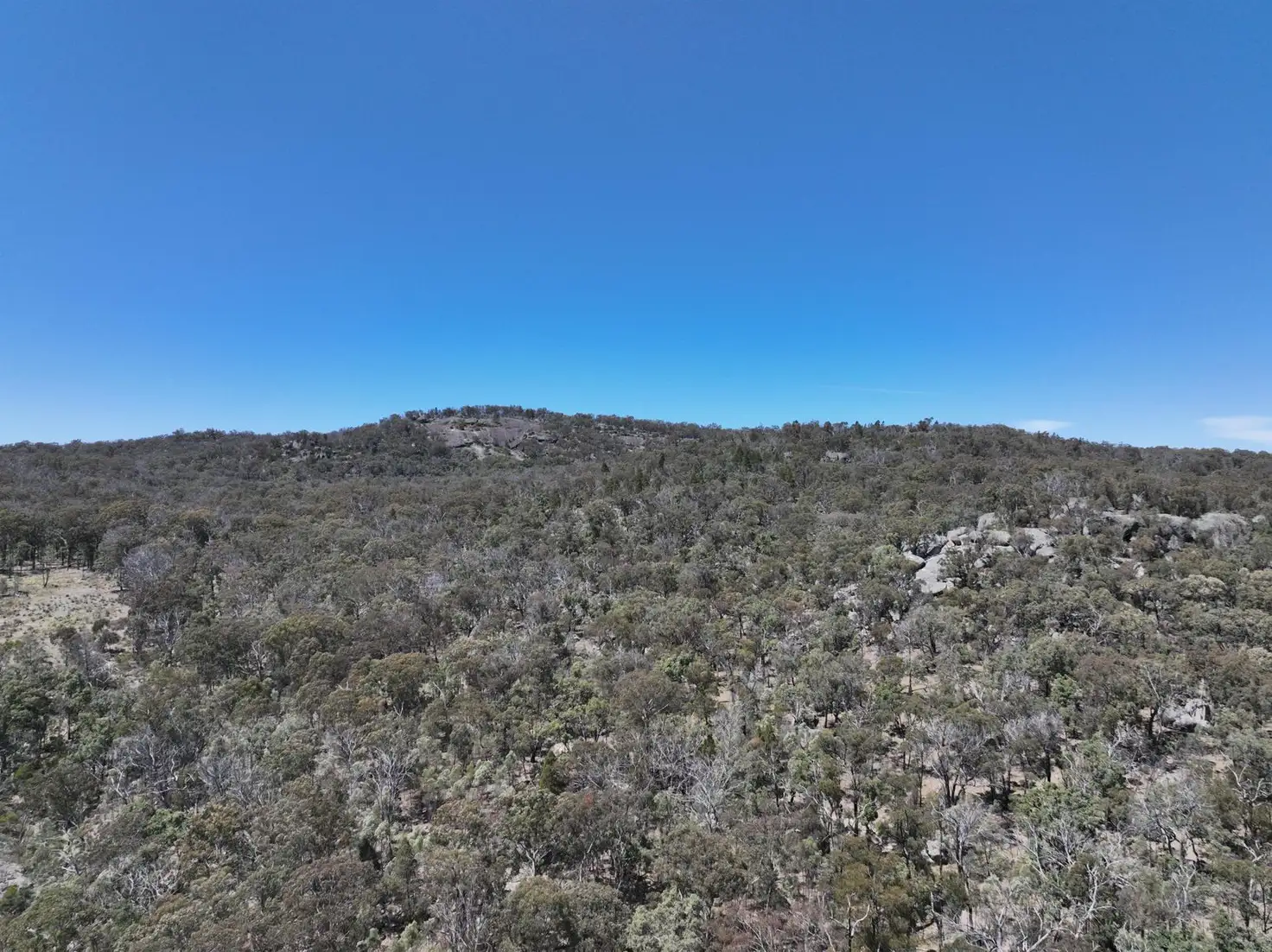 Main view of Homely rural property listing, Lot 1 Brusharbers Road, Tenterfield NSW 2372