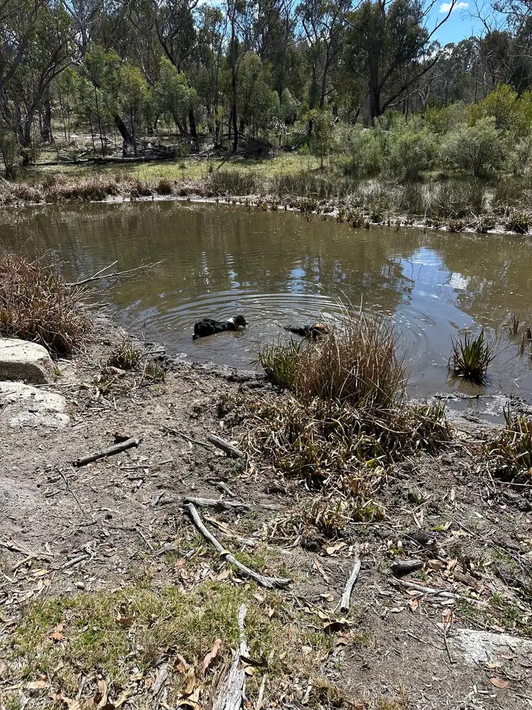 Third view of Homely rural property listing, Lot 1 Brusharbers Road, Tenterfield NSW 2372