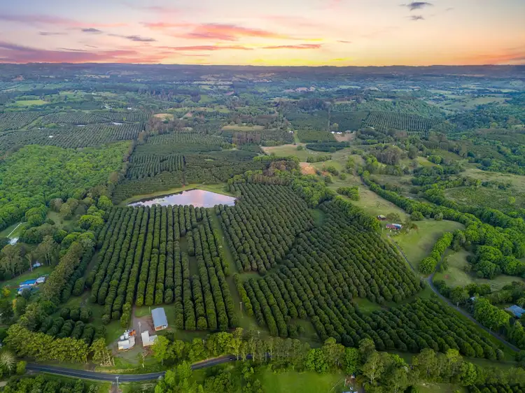 Second view of Homely rural property listing, 1594 Dunoon Road, Dunoon NSW 2480