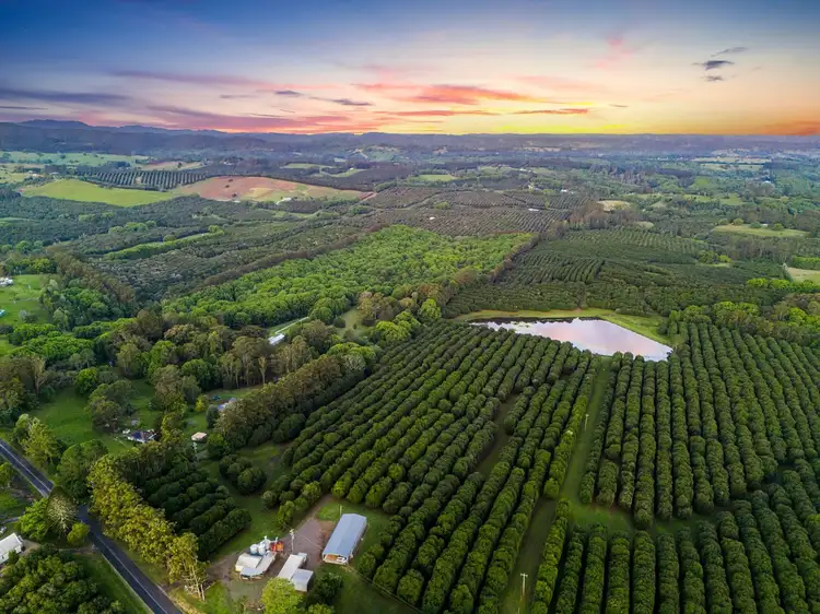 Third view of Homely rural property listing, 1594 Dunoon Road, Dunoon NSW 2480
