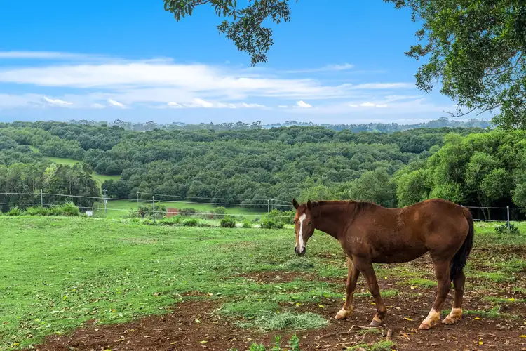 Sixth view of Homely rural property listing, 57 Jorgensens Lane, Brooklet NSW 2479
